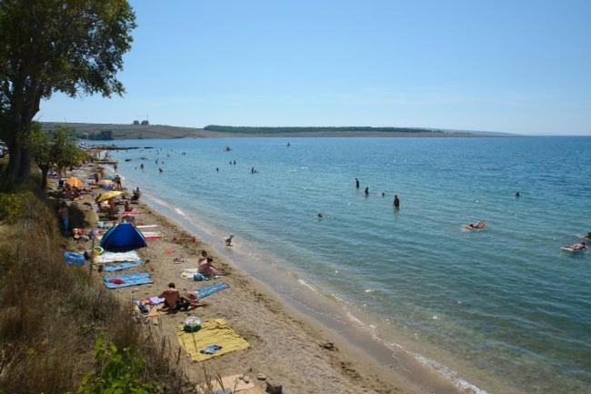 Apartments Mint Povljana - 50M From Sandy Beach Exterior photo