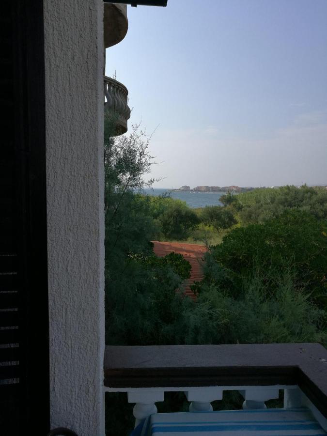 Apartments Mint Povljana - 50M From Sandy Beach Exterior photo
