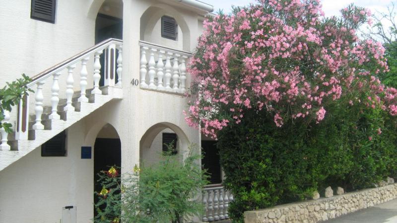Apartments Mint Povljana - 50M From Sandy Beach Exterior photo